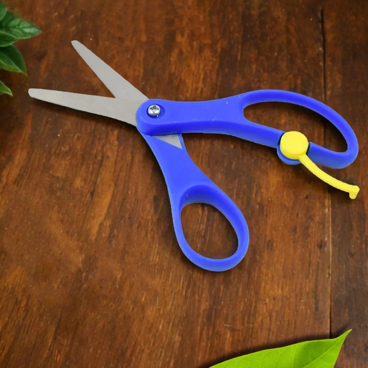 Scissor Scissor